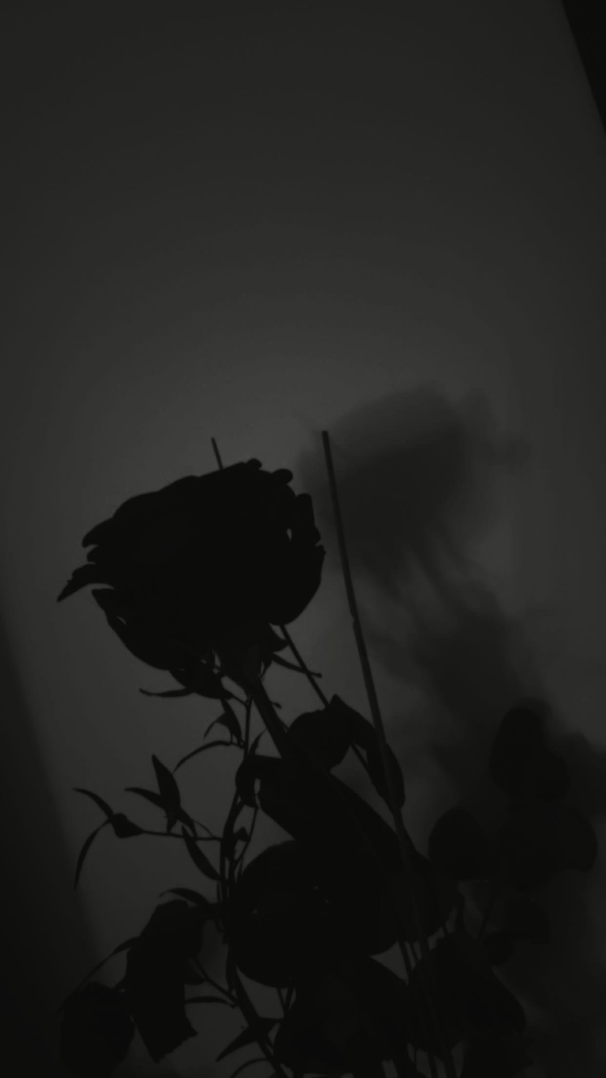 Where you leave me